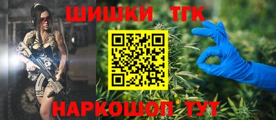 гашик Моздок