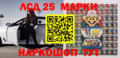 гашик Моздок