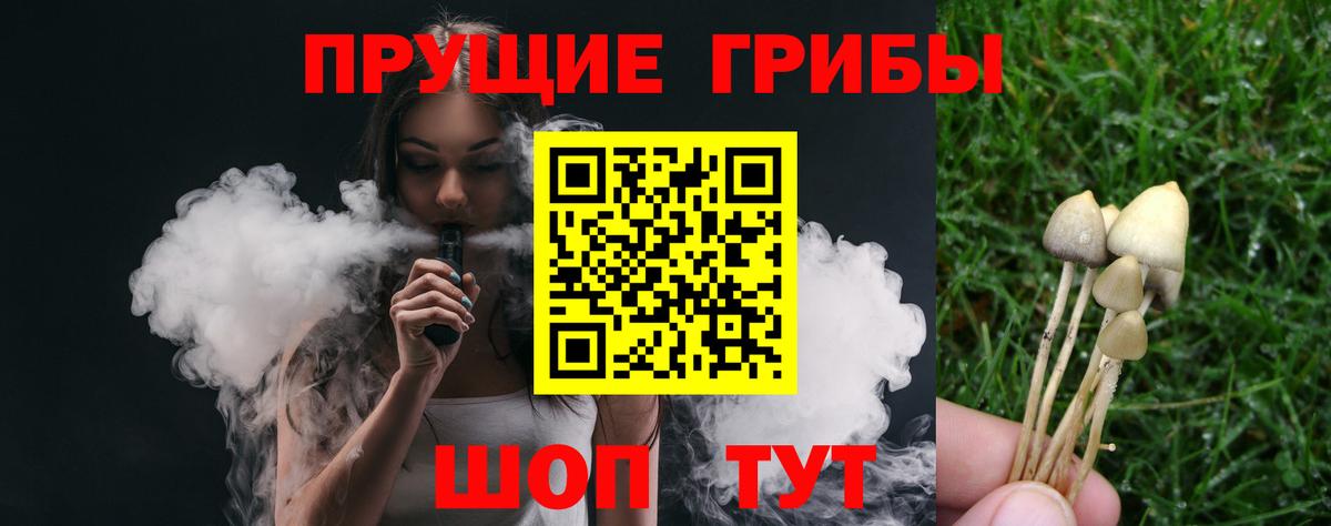 Шатура  Псилоцибиновые грибы Psilocybine cubensis  Псилоцибиновые грибы Psilocybe  Вход с VPN 